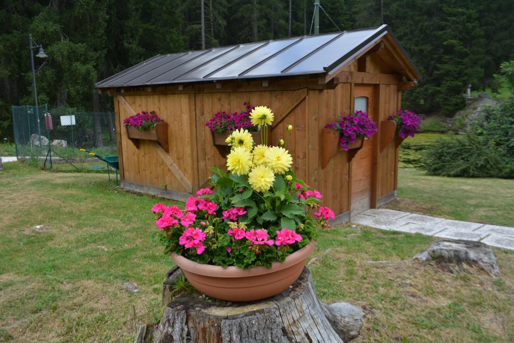 Chalet Al Lago San Vito di Cadore Zewnętrze zdjęcie